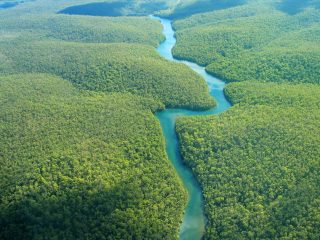 Amazon River winding through rainforest