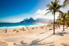 Sandy beach with palm trees in Brazil