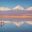 Flamingoes in the Atacama Desert, Chile