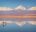 Flamingoes in the Atacama Desert, Chile
