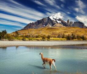 Torres del Paine