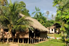 Amazon Village