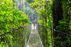 Person walking along a hanging bridge in the jungle