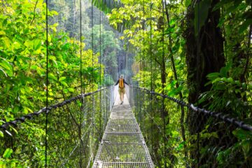 Person walking along a hanging bridge in the jungle