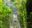 Person walking along a hanging bridge in the jungle