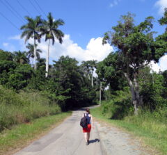 Walking in Las Terrazas Cuba