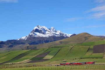 Avenue of the volcano