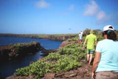 GPS_Group_Shutterstock_560077465