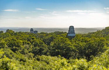 Tikal