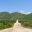 Sandy road through cactus-covered landscape, Mexico