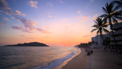 CONDOR VERDE MEXICO ©