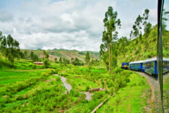 Train passing through greenery in the Peruvian Andes