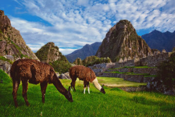 Machu Picchu
