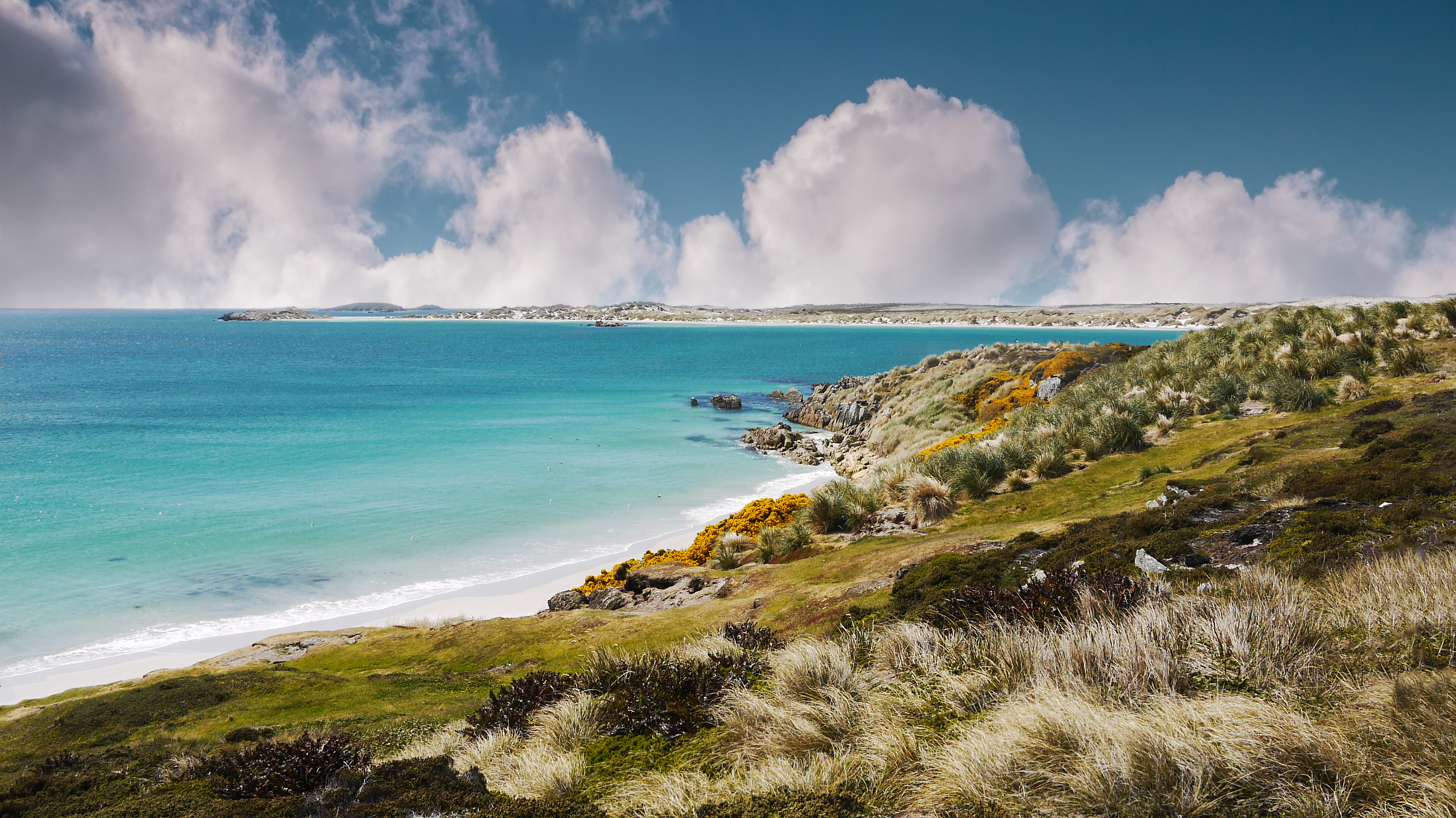 BOUGHT STOCK IMAGES! Falkland beach