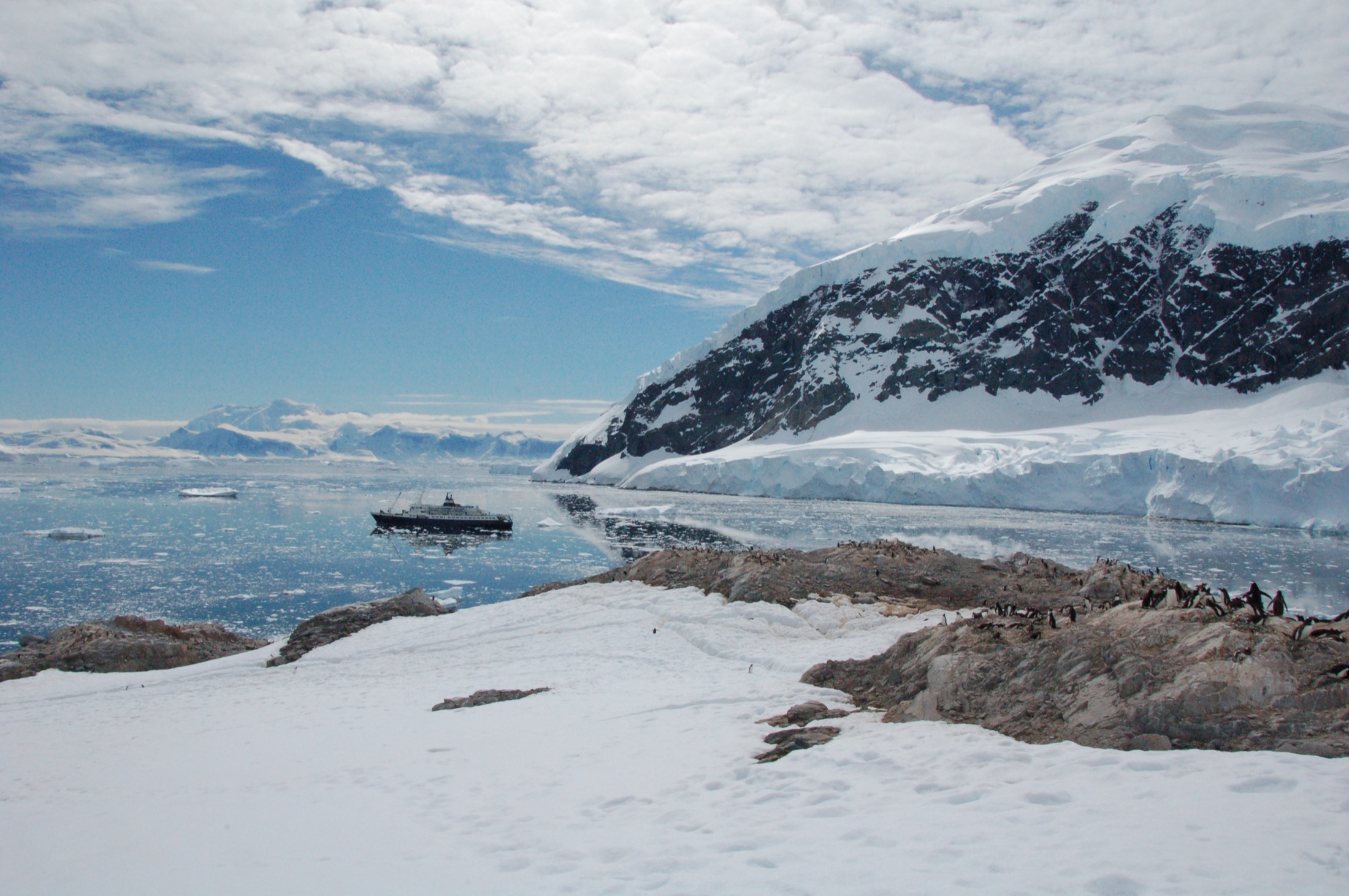 ANT_NekoHarbour_keithTurner_Freewithcredit (2)