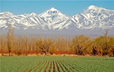 Mendoza Vineyard, Chile