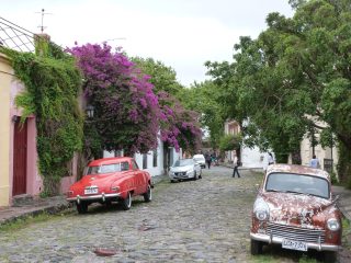 URU_Colonia_DN_staff