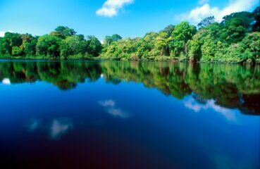 Water and jungle in Tortuguero National Park