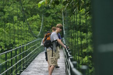 Boys standing on hanging bridges in Costa Rica