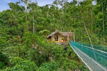 Bridge to Pacuare Lodge in deep jungle