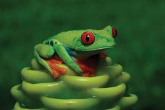 Costa Rican Tourist Board ©