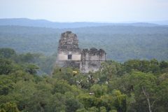 gua Tikal_Lina _ free