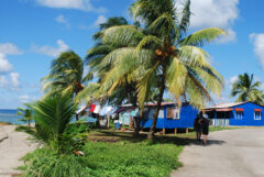 NIC_Cornislands_CJM_free