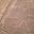 Nasca lines in Peru
