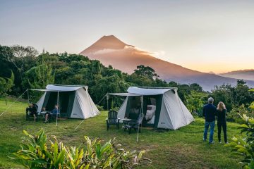Tents set up on a grassy hill on a trek