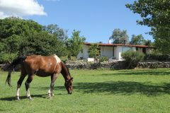 Estancia Los Potreros