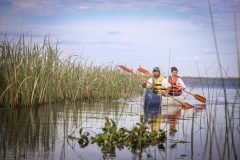 ARG_IberaWetlands_PosadaAguape.(5)jpg