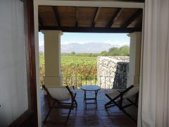 ARG_Salta_VinasDeCafayate (1)