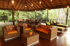 BRA_TheBrazilianAmazon_AmazonEcoparkJungleLodge (4)