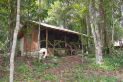 BRA_TheBrazilianAmazon_AmazonVillageLodge (1)