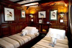 AMAZON NATURE TOURS ©