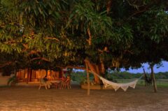 Fazenda Barranco Alto