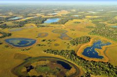 Fazenda Barranco Alto
