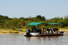 Pantanal Norte