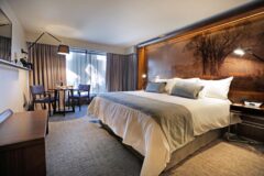 Hotel Cumbres Lastarria