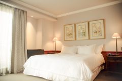 CHI_Santiago_TheSingular (4)