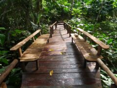 COL_TheColombianAmazon_CalanoaLodge (4)