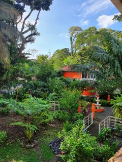 Cariblue Beach and Jungle Resort