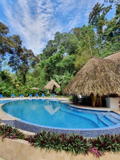 Cariblue Beach and Jungle Resort