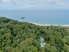 Cariblue Beach and Jungle Resort