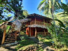 Cariblue Beach and Jungle Resort