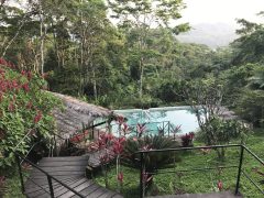 ECU_MisahualliHamadryadeLodge_HotelOwned (1)