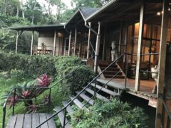 ECU_MisahualliHamadryadeLodge_HotelOwned (3)