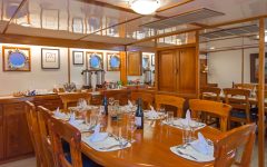 GPS_Beluga_ENCHANTED_supplier (1)