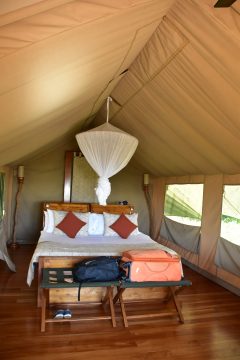 Galapagos Safari Camp