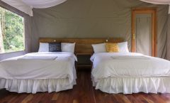 ECU_GalapagosIslands_ScalesiaLodge (2)